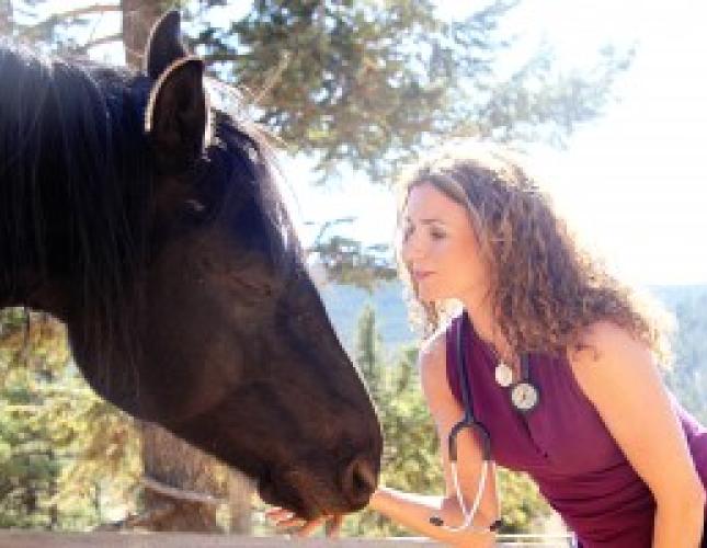 “whole-istic” Horse Health And Behavior